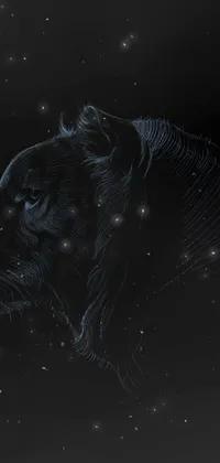 Carnivore Whiskers Snout Live Wallpaper