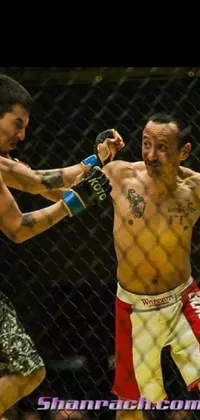 Shorts Muscle Combat Sport Live Wallpaper