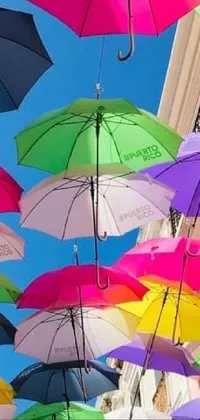 Photograph Umbrella White Live Wallpaper