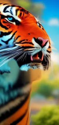 Angry tiger  Live Wallpaper