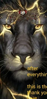 clw_1667591861665 Live Wallpaper