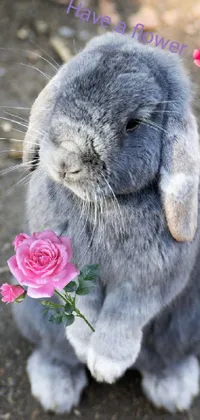 Have a flower :) Live Wallpaper