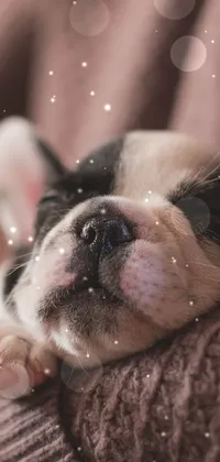 sleep Live Wallpaper