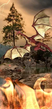 Dragon  Live Wallpaper