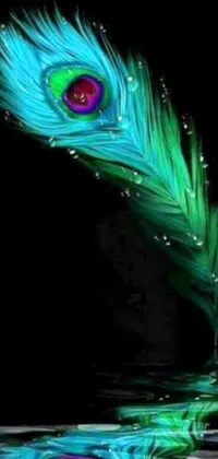 This phone live wallpaper features a stunningly colorful feather floating atop dark-blue and green water, surrounded by realistic water drops, against a beautiful black background