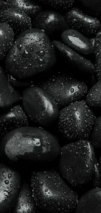 This captivating phone live wallpaper features a striking pile of black rocks that are covered in delicate water droplets