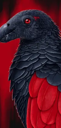 African Grey Bird Beak Live Wallpaper