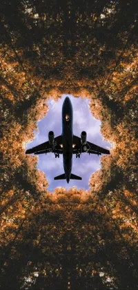 Aircraft People In Nature Airplane Live Wallpaper