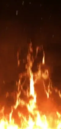 Amber Fire Flame Live Wallpaper