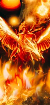Amber Flame Heat Live Wallpaper