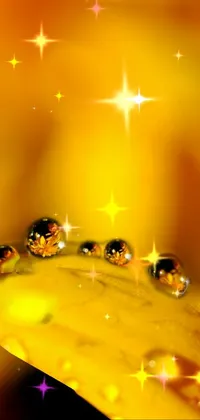 yello!!! Live Wallpaper