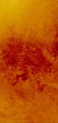 Amber Orange Ingredient Live Wallpaper