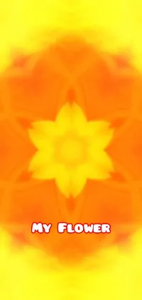 Amber Orange Petal Live Wallpaper