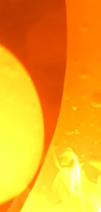 Amber Orange Petal Live Wallpaper