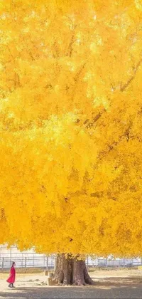 Amber Plant Orange Live Wallpaper