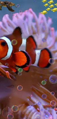 fish Live Wallpaper