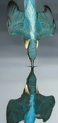 Animal Bird Blue Live Wallpaper