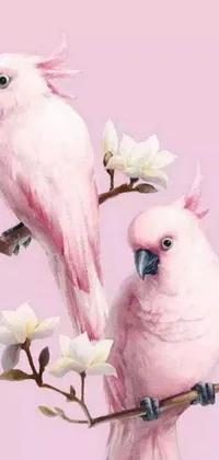 Animal Bird Child Art Live Wallpaper