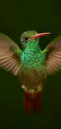 This hummingbird live wallpaper showcases an exquisite depiction of a hummingbird in mid-flight