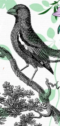 Animal Bird Drawing Live Wallpaper