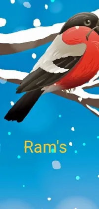Animal Bird Text Live Wallpaper