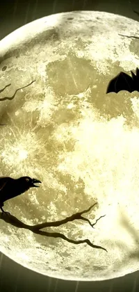 Adorn your phone with an exquisite live wallpaper featuring a group of bats fluttering in front of a yellowish full moon