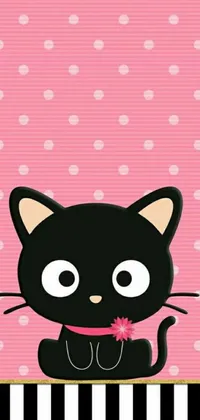 This phone live wallpaper features a cute black cat sitting on a pink background with a subtle gradient effect