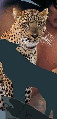 This live wallpaper features a stunning image of a man holding a picture of a leopard with a bird in the background, the foreground shadow adding to the enigmatic feel