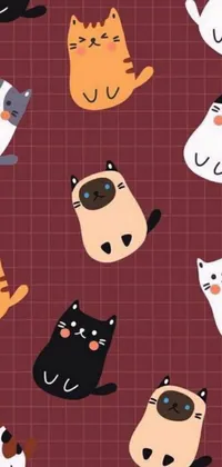Animal Cat Text Live Wallpaper