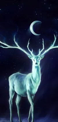 Animal Deer Standing Live Wallpaper