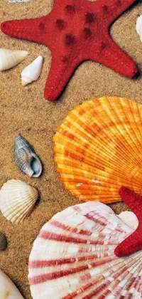 Turn your phone into a beach paradise with this starfish and shell live wallpaper