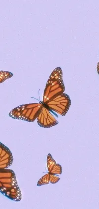 Bring life to your phone with this stunning live wallpaper featuring a group of colorful butterflies soaring through the sky