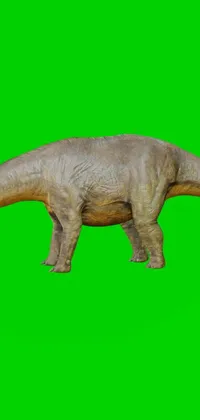 Animal Mammal Dinosaur Live Wallpaper