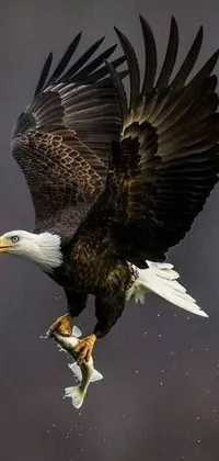 This live phone wallpaper features a majestic eagle in flight, with its wide wingspan and talons clutching a fresh catch