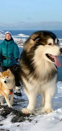 This charming phone live wallpaper showcases a snowy hill with a sparkling lake in the background, two dogs by a woman's side, and a foreground of snowy terrain