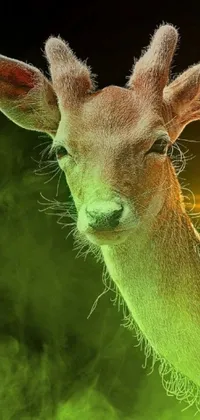 This live wallpaper depicts a beautiful digital art piece of a deer standing in a grassy field