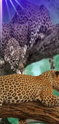 The Lisa Frank live wallpaper showcases a stunning illustration of a leopard in its natural element