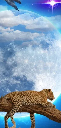This stunning live wallpaper features a majestic leopard sitting on a tree branch in front of a full moon
