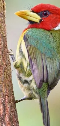 This live wallpaper showcases a strikingly colorful bird perched on a tree branch in the center of a lush green background