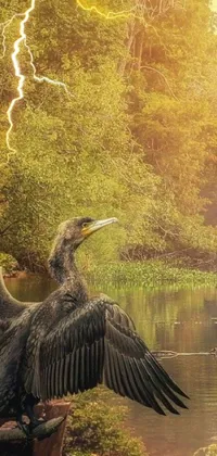 This stunning live wallpaper features a majestic bird perched on a tree stump overlooking a gorgeous river landscape