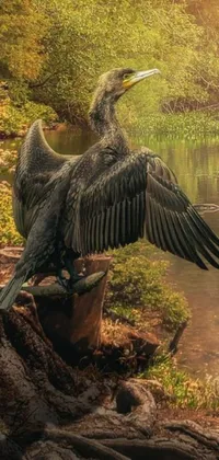 This live wallpaper features a stunning photorealistic scene of a bird sitting on a tree stump by a body of water