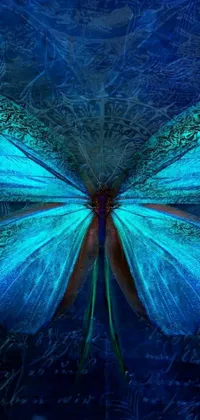This stunning live wallpaper features a beautiful blue butterfly with intricate mosquito wings set against a textured turquoise background