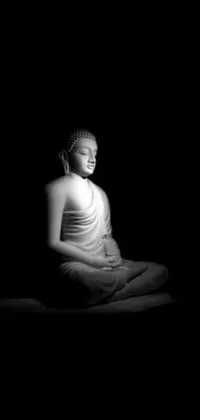 This phone live wallpaper features a stunning black and white photo of a Buddha statue set against a black background