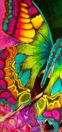 Bring your phone to life with this stunning live wallpaper! Featuring a 3D close-up view of a colorful butterfly, inspired by Mexican folk art and flicker, this detailed artwork pops with vibrant hues that will dazzle the senses! The butterfly's wings and body are exquisitely crafted with intricate patterns, creating an almost-real feel that will captivate and delight