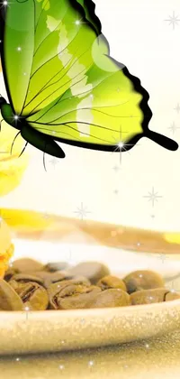 This whimsical live wallpaper features a colorful plate of food with a delicate butterfly resting on top