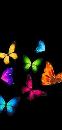 This phone live wallpaper showcases a vector art piece featuring a beautiful group of colorful butterflies flying against a dark background, creating a magical and enchanting ambiance