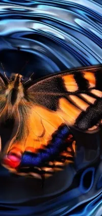 This live phone wallpaper showcases a stunning digital art featuring a butterfly perched atop a body of water