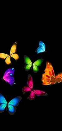 Looking for a beautiful and unique live wallpaper for your phone? Check out this stunning design featuring colorful butterflies flying in a dark background