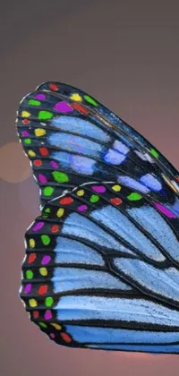 Enhance your phone screen with this mesmerizing close-up image of a butterfly perched on a flower, adorned with stained glass wings