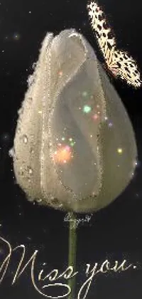 Art Astronomical Object Liquid Live Wallpaper